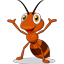 Mróweczki